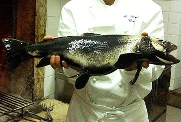3023_Graziano Guerini_Carpione_Salmo carpio.jpg 3023_Graziano Guerini_Carpione_Salmo carpio.jpg